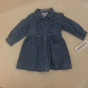 NWT polkatots denim dress